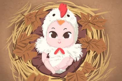 择吉老黄历|择吉日历|择吉皇历
